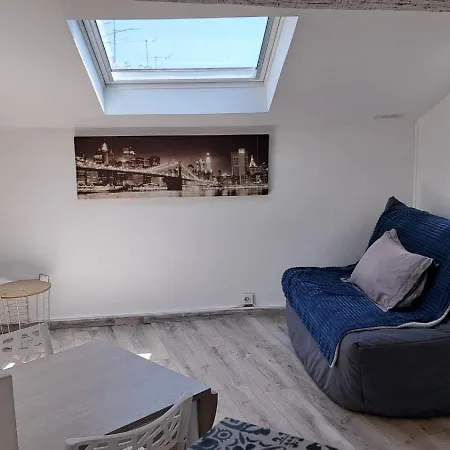Joli 2 Pieces Renove A Proximite Du Centre Et Cannes